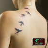TATTOO-TV.RU