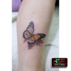 TATTOO-TV.RU