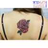 TATTOO-TV.RU