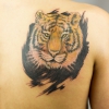 TattooKot