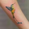 TattooKot