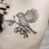 KOT.INK