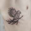 KOT.INK