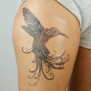 TattooKot