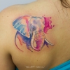 TattooKot