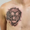 TattooKot