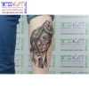 TATTOO-TV.RU