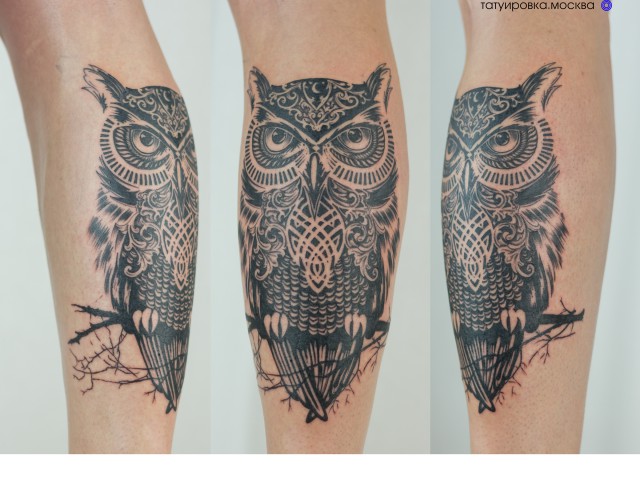 Тату Сова — Owl Tattoo