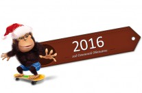 2016 год Красной Огненной Обезьяны