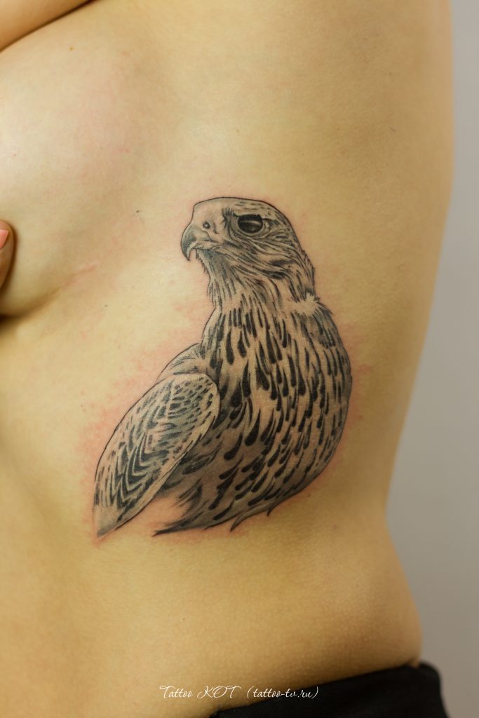 Подарочный Сертификат на 8 Марта в тату студию • 52 • KOT.INK - Tattoo Татуировка в Солнечногорске +7 (991) 938-28-22 Tattoo +7 (926) 254-72-50 • (21.11.2025) • KOT.INK - Tattoo Татуировка в Солнечногорске +7 (991) 938-28-22 • Tattoo - KOT.INK - Татуировка в Солнечногорске, Клину, Зеленограде. Лучшая тату студия Солнечногорска 1Kot 16