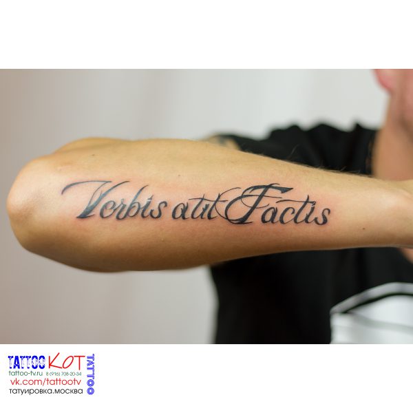 Татуировка в Солнечногорске • 7 • KOT.INK - Tattoo Татуировка в Солнечногорске +7 (991) 938-28-22 Tattoo +7 (926) 254-72-50 • (21.11.2025) • KOT.INK - Tattoo Татуировка в Солнечногорске +7 (991) 938-28-22 • Tattoo - KOT.INK - Татуировка в Солнечногорске, Клину, Зеленограде. Лучшая тату студия Солнечногорска 1TaT15 13