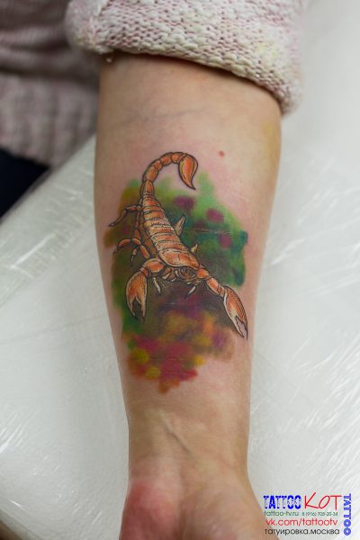 Татуировка в Солнечногорске • 252 • KOT.INK - Tattoo Татуировка в Солнечногорске +7 (991) 938-28-22 Tattoo +7 (926) 254-72-50 • (21.11.2025) • KOT.INK - Tattoo Татуировка в Солнечногорске +7 (991) 938-28-22 • Tattoo - KOT.INK - Татуировка в Солнечногорске, Клину, Зеленограде. Лучшая тату студия Солнечногорска 37M 11