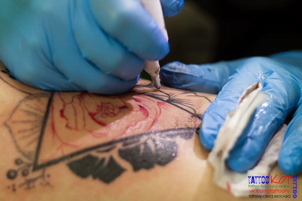 Татуировка в Солнечногорске • 186 • KOT.INK - Tattoo Татуировка в Солнечногорске +7 (991) 938-28-22 Tattoo +7 (926) 254-72-50 • (21.11.2025) • KOT.INK - Tattoo Татуировка в Солнечногорске +7 (991) 938-28-22 • Tattoo - KOT.INK - Татуировка в Солнечногорске, Клину, Зеленограде. Лучшая тату студия Солнечногорска 37M 21