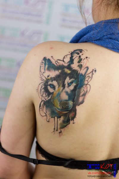 Татуировка в Солнечногорске • 259 • KOT.INK - Tattoo Татуировка в Солнечногорске +7 (991) 938-28-22 Tattoo +7 (926) 254-72-50 • (21.11.2025) • KOT.INK - Tattoo Татуировка в Солнечногорске +7 (991) 938-28-22 • Tattoo - KOT.INK - Татуировка в Солнечногорске, Клину, Зеленограде. Лучшая тату студия Солнечногорска 38K 52