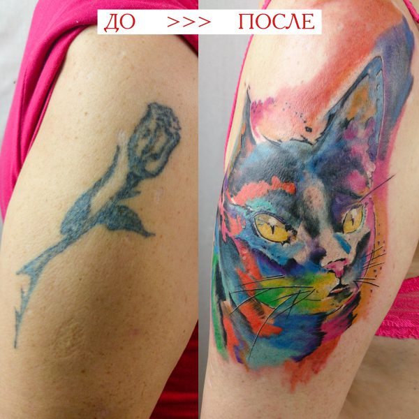 Татуировка в Солнечногорске • 227 • KOT.INK - Tattoo Татуировка в Солнечногорске +7 (991) 938-28-22 Tattoo +7 (926) 254-72-50 • (21.11.2025) • KOT.INK - Tattoo Татуировка в Солнечногорске +7 (991) 938-28-22 • Tattoo - KOT.INK - Татуировка в Солнечногорске, Клину, Зеленограде. Лучшая тату студия Солнечногорска Kaver na instu