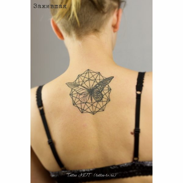 Татуировка в Солнечногорске • 16 • KOT.INK - Tattoo Татуировка в Солнечногорске +7 (991) 938-28-22 Tattoo +7 (926) 254-72-50 • (21.11.2025) • KOT.INK - Tattoo Татуировка в Солнечногорске +7 (991) 938-28-22 • Tattoo - KOT.INK - Татуировка в Солнечногорске, Клину, Зеленограде. Лучшая тату студия Солнечногорска Kot 23