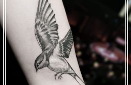 Татуировки Птиц