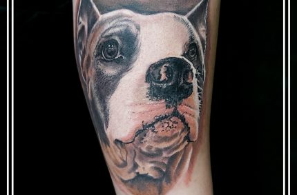 Тату Собаки