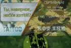 Сертификат на 23 Февраля