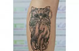 Тату Осьминог — Кот